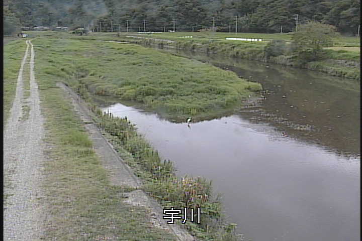J摜