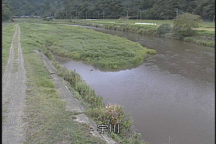 J摜