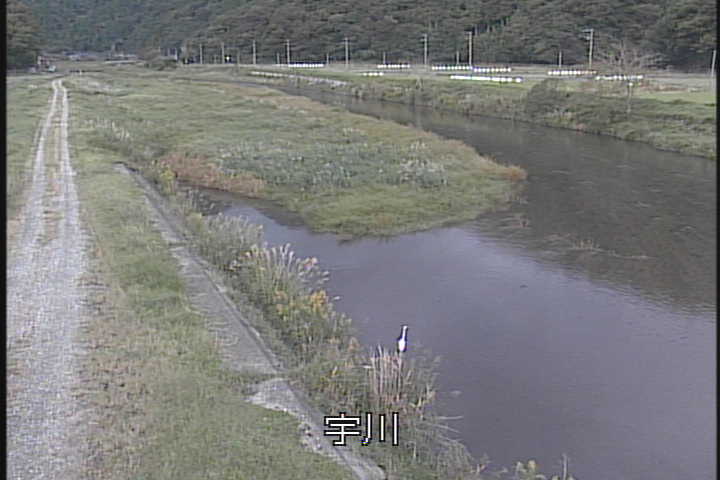 J摜