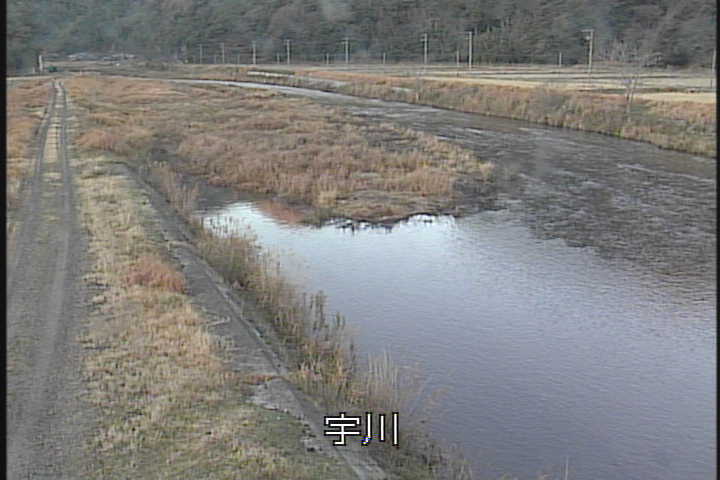 �J�����摜