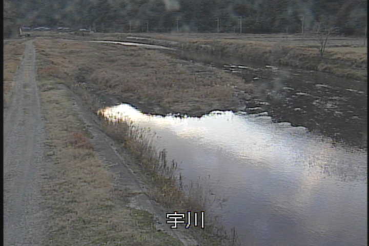 �J�����摜