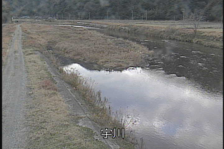 �J�����摜