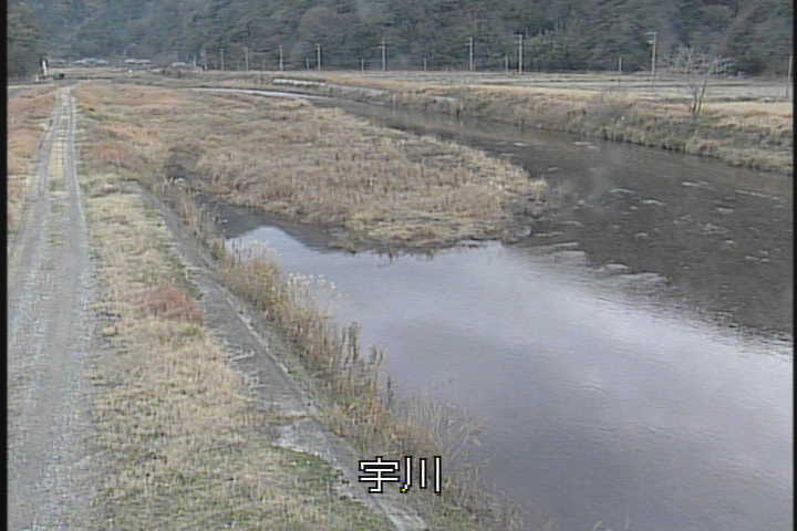 �J�����摜