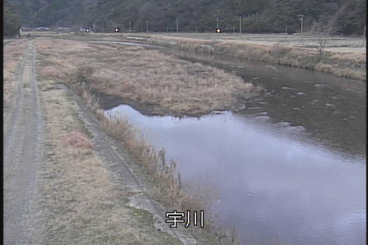 �J�����摜