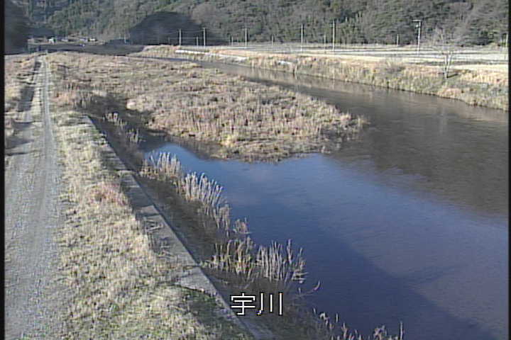 �J�����摜