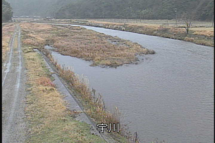 �J�����摜