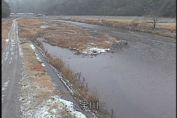 �J�����摜