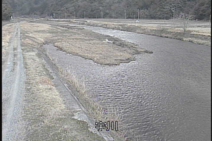 �J�����摜