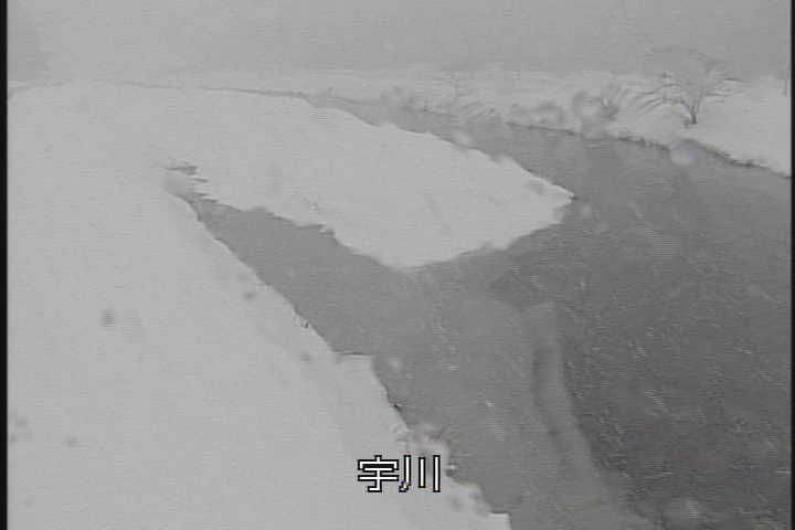 �J�����摜