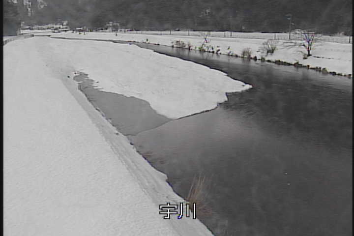 �J�����摜