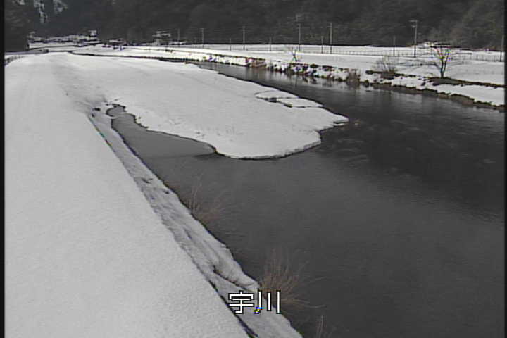 �J�����摜