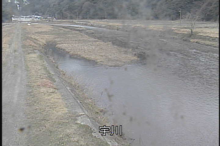 �J�����摜