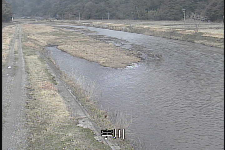 �J�����摜