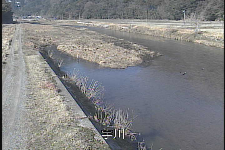 �J�����摜