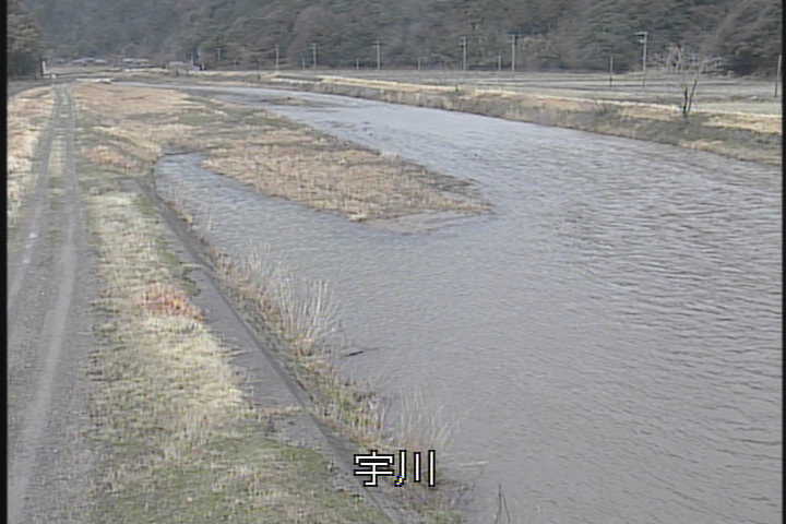 �J�����摜