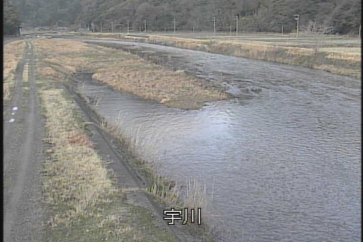 �J�����摜