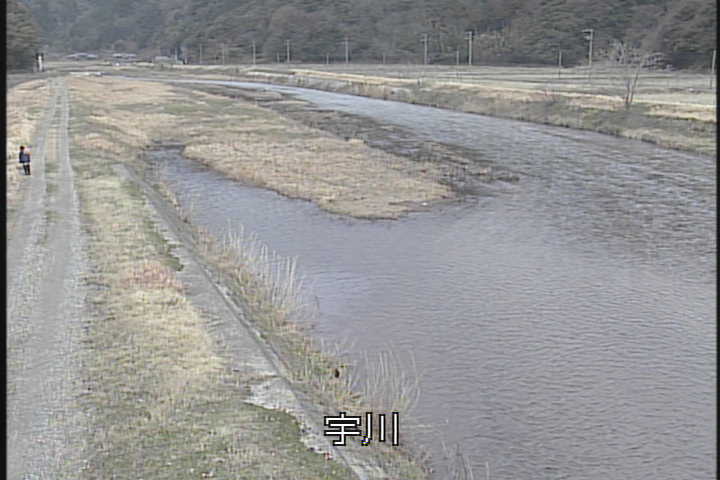 �J�����摜