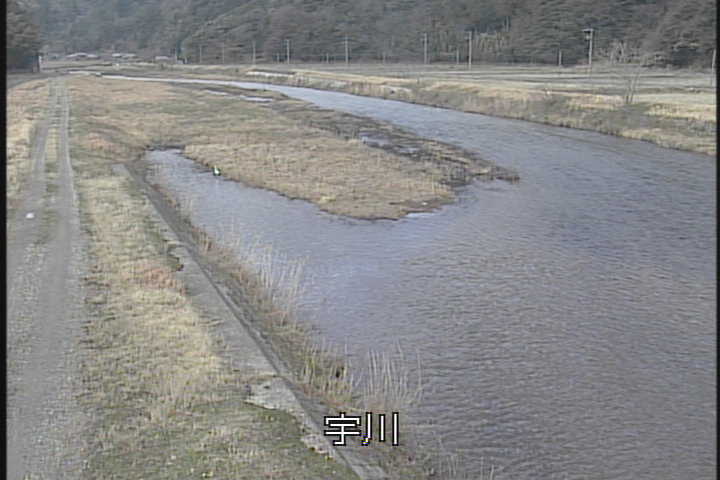 �J�����摜