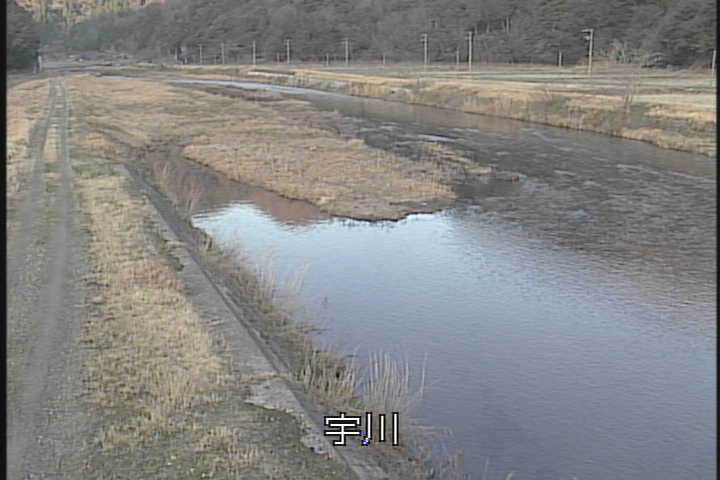 �J�����摜