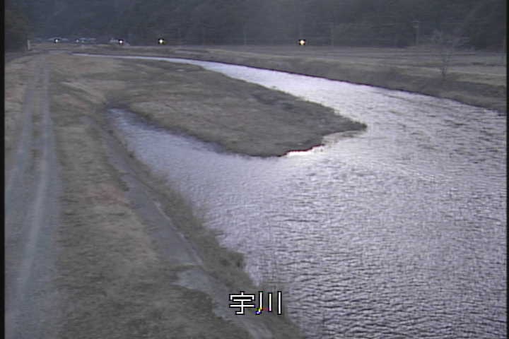 �J�����摜