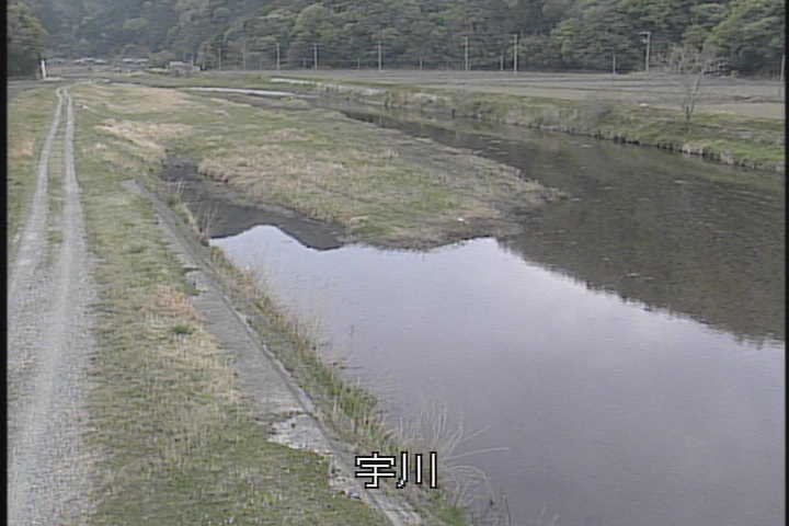 �J�����摜