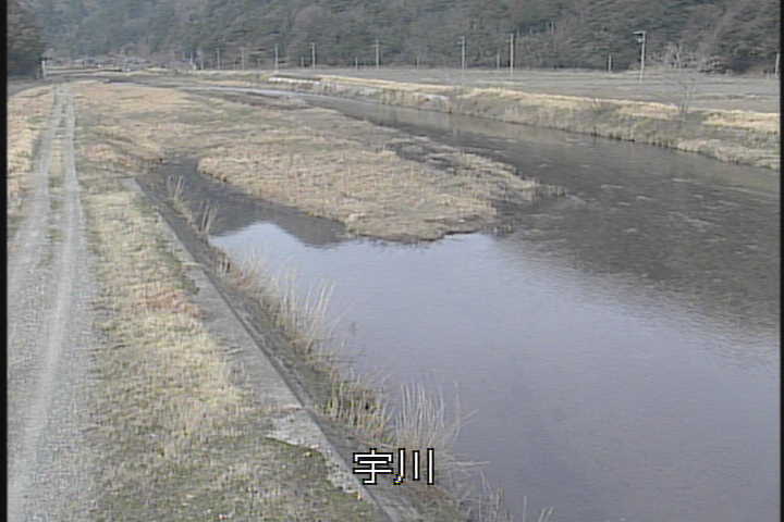 �J�����摜