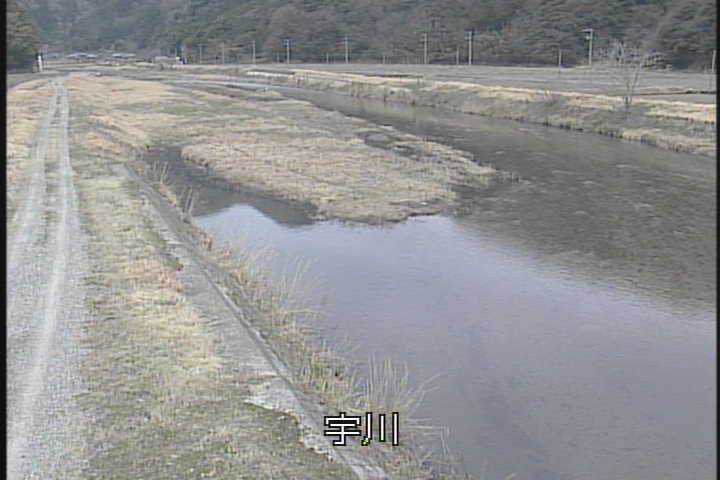 �J�����摜