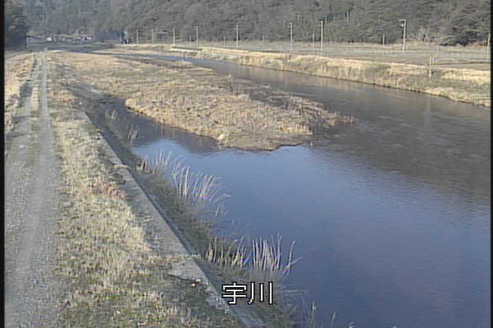 �J�����摜