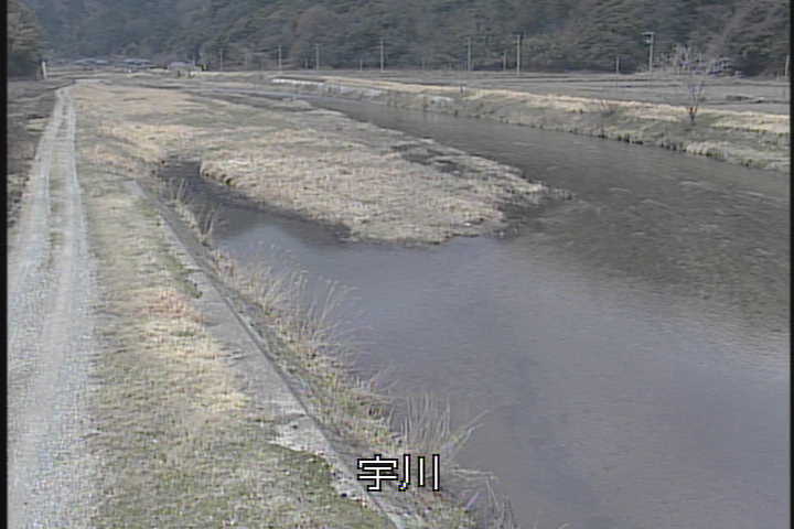 �J�����摜