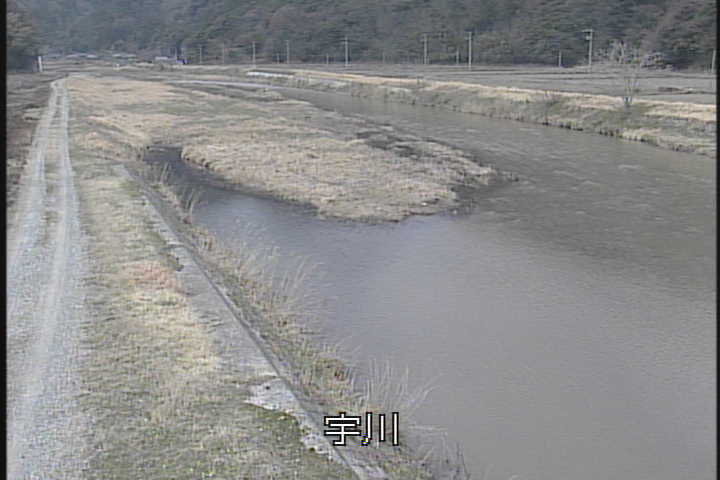 �J�����摜