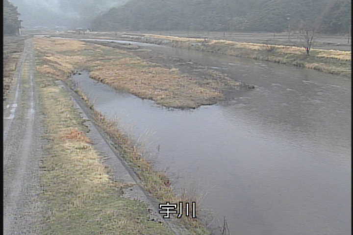 �J�����摜