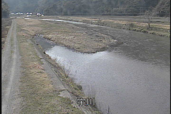 �J�����摜