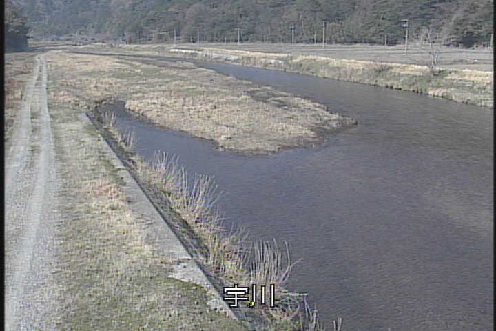 �J�����摜