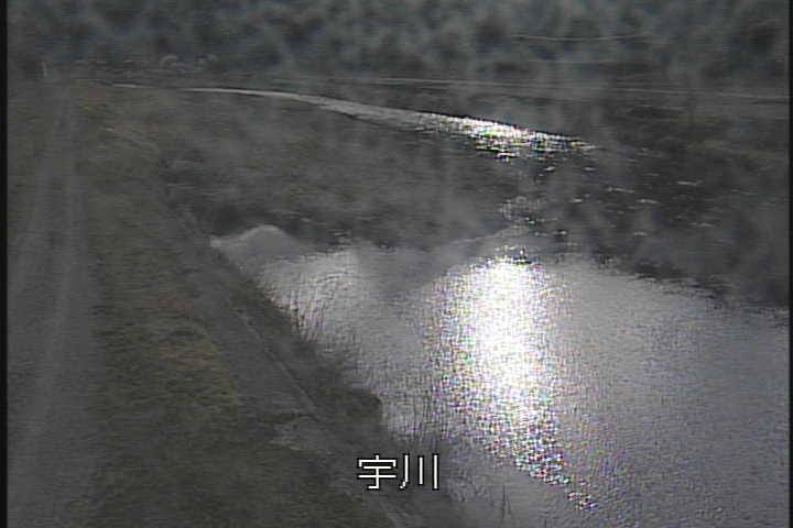 �J�����摜