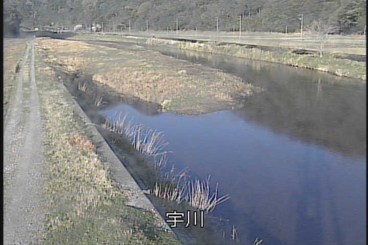 �J�����摜