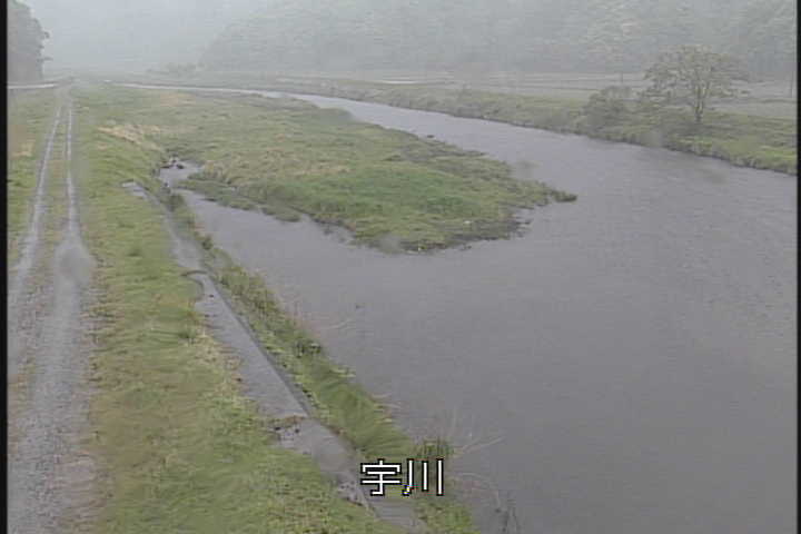 �J�����摜