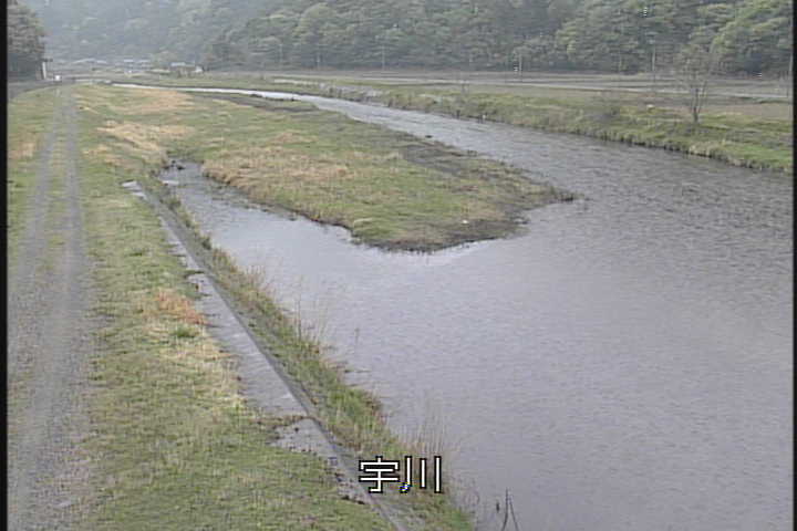 �J�����摜