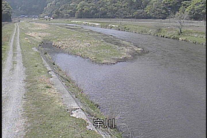 �J�����摜