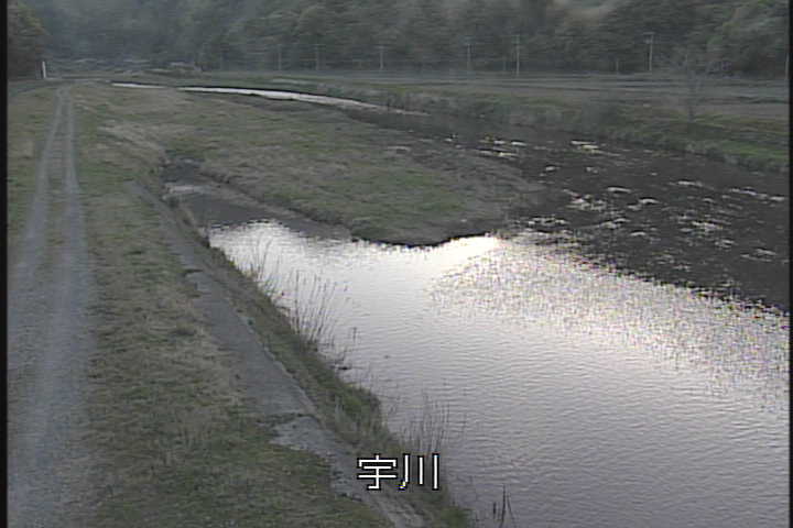 �J�����摜