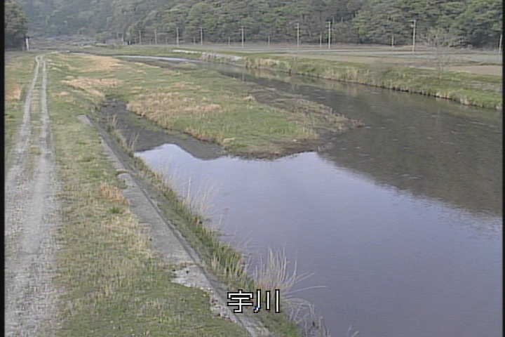 �J�����摜