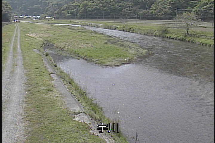 �J�����摜