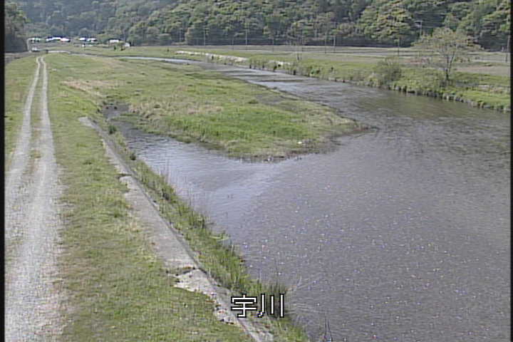 �J�����摜