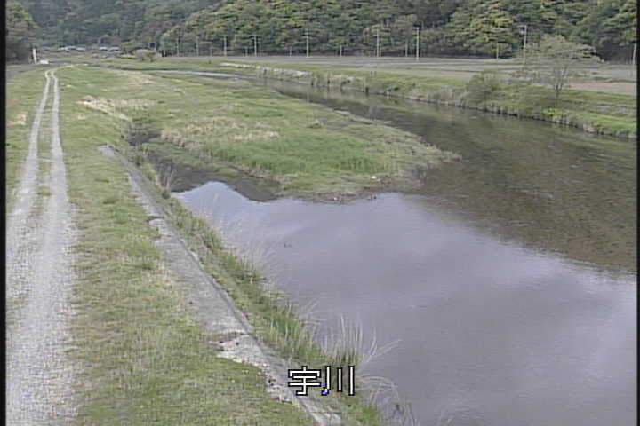 �J�����摜