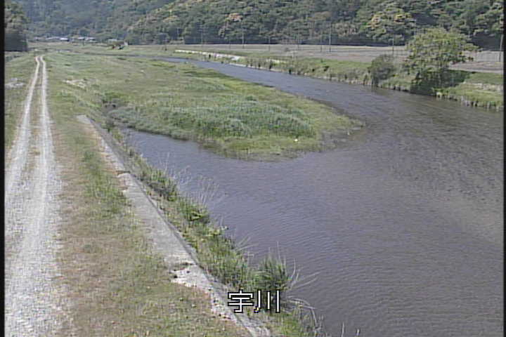 �J�����摜