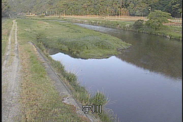 �J�����摜