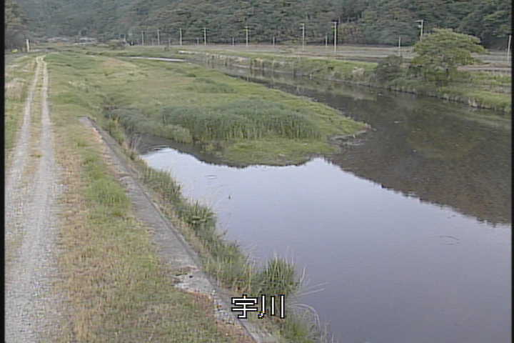 �J�����摜