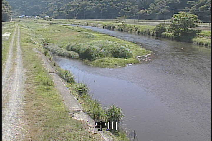 �J�����摜