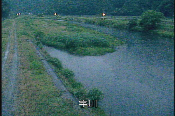�J�����摜