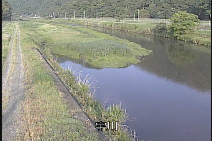 �J�����摜
