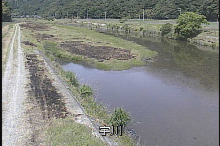 �J�����摜